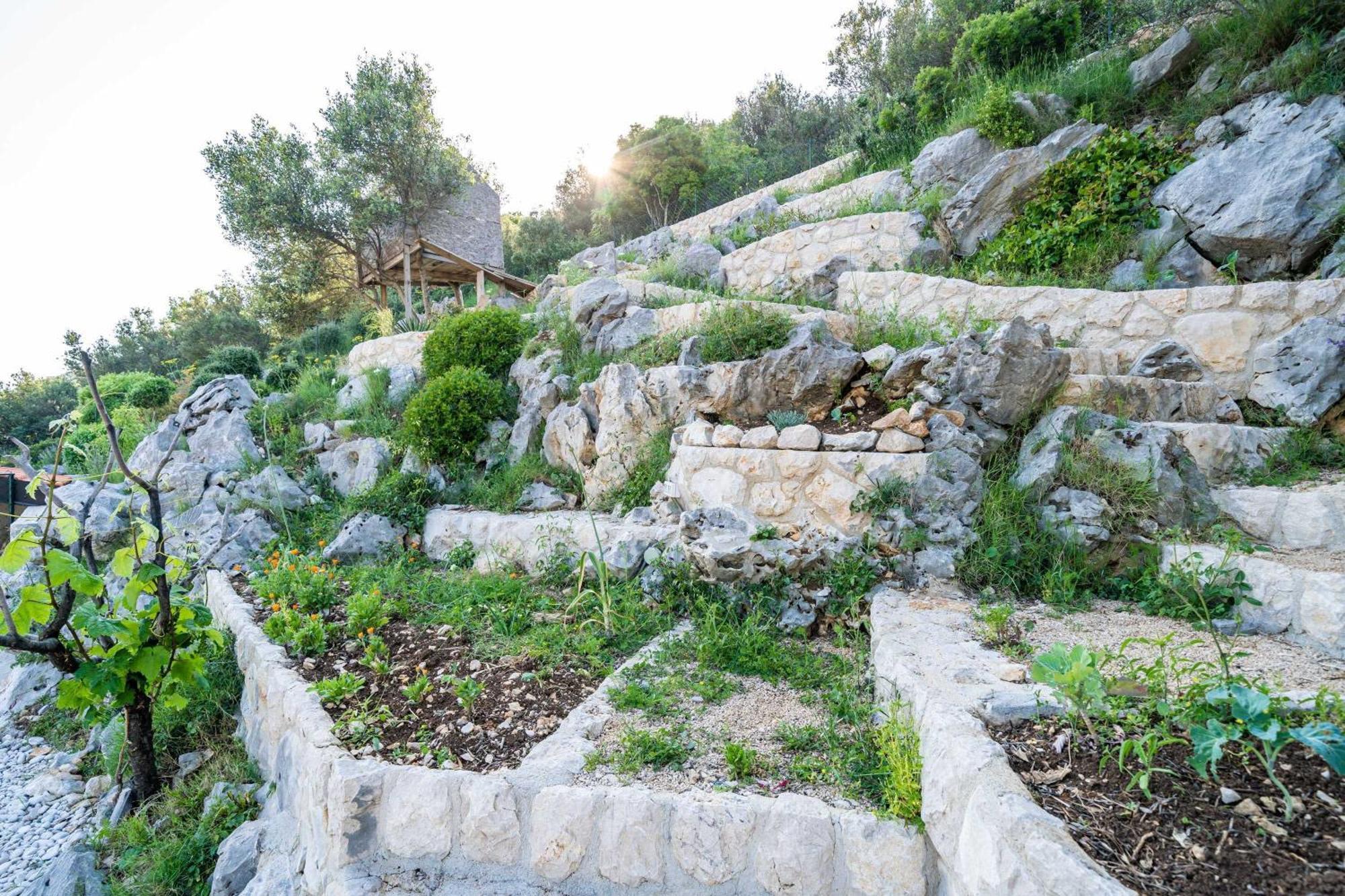 Apartments Villa Arcadia Dubrovnik Ruang foto